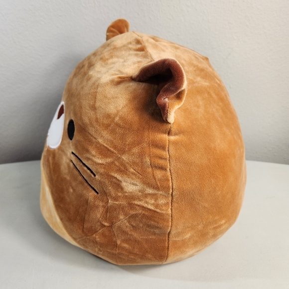 Squishmallows Flip-A-Mallow Rocky the Raccoon/Chip the Beaver-12" - Picture 8 of 12